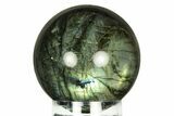 Flashy, Polished Labradorite Sphere - Great Color Play #266183-1